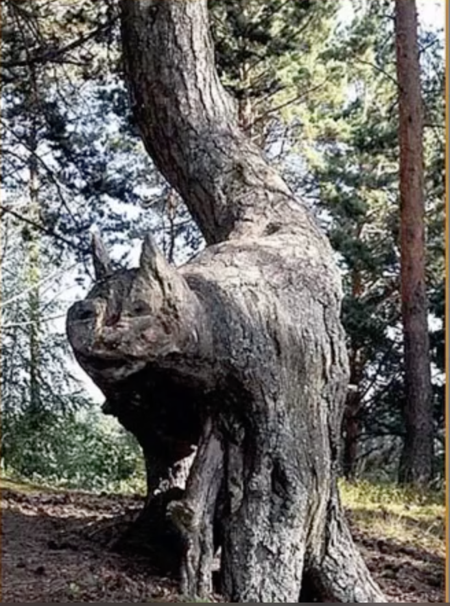 Capture d e cran 2023 02 02 a 10 37 52 copie