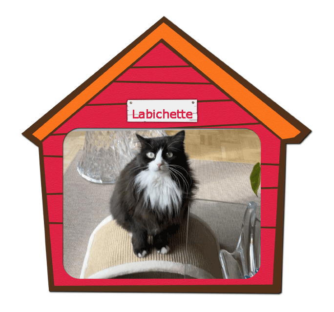 Griffoir labichette 3